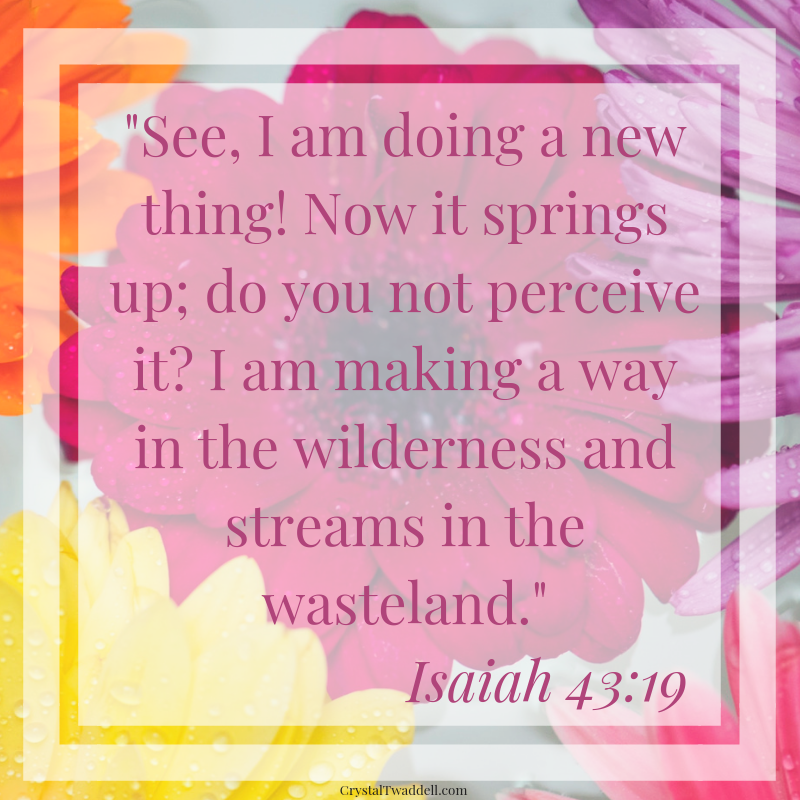 Embracing New Beginnings and Beginning Again - Crystal Twaddell